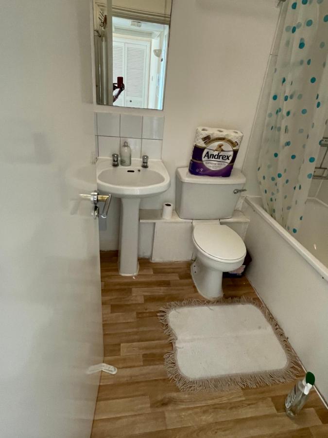 Vibrant & Cosy London Apartment Near Wembley Kültér fotó